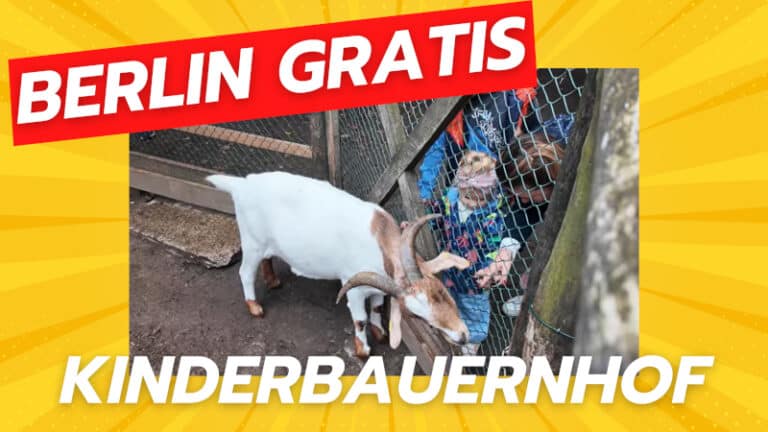 Kinderbauernhof am Mauerplatz in Berlin-Kreuzberg